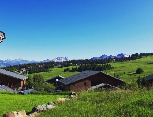 Cet hiver votre magicien sera en haute-savoie !